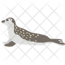 پیش‌نمایش فایل harbor-seal-2149585 از پک شکار و زندگی دریایی