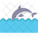پیش‌نمایش فایل jumping-whale-2149539 از پک شکار و زندگی دریایی