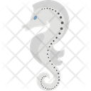 پیش‌نمایش فایل seahorse-2149556 از پک شکار و زندگی دریایی