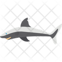 پیش‌نمایش فایل shark-2149596 از پک شکار و زندگی دریایی