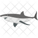 پیش‌نمایش فایل shark-2149599 از پک شکار و زندگی دریایی