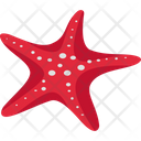 پیش‌نمایش فایل starfish-2149549 از پک شکار و زندگی دریایی