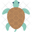 پیش‌نمایش فایل tortoise-2149595 از پک شکار و زندگی دریایی