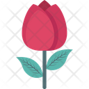 پیش‌نمایش فایل lotus-2150646 از پک زیبایی و اسپا