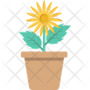 پیش‌نمایش فایل flower-pot-2168806 از پک ابزارها خانه و خانواده و دستگاه‌ها