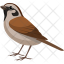 پیش‌نمایش فایل asian-sparrow-2483367 از پک پرنده و حیوان