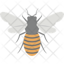 پیش‌نمایش فایل bee-2483374 از پک پرنده و حیوان