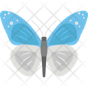 پیش‌نمایش فایل butterfly-2483400 از پک پرنده و حیوان