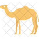 پیش‌نمایش فایل camel-2483387 از پک پرنده و حیوان