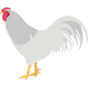 پیش‌نمایش فایل chicken-2483377 از پک پرنده و حیوان