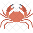 پیش‌نمایش فایل crab-2483401 از پک پرنده و حیوان