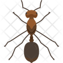 پیش‌نمایش فایل crawl-2483410 از پک پرنده و حیوان