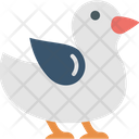 پیش‌نمایش فایل duck-2483371 از پک پرنده و حیوان