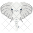 پیش‌نمایش فایل elephant-2483412 از پک پرنده و حیوان