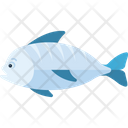 پیش‌نمایش فایل fish-2483380 از پک پرنده و حیوان