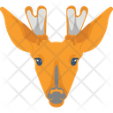 پیش‌نمایش فایل giraffe-2483417 از پک پرنده و حیوان
