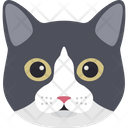 پیش‌نمایش فایل husky-dog-2483391 از پک پرنده و حیوان
