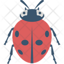 پیش‌نمایش فایل insect-2483411 از پک پرنده و حیوان