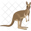 پیش‌نمایش فایل kangaroo-2483363 از پک پرنده و حیوان