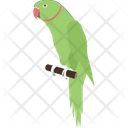 پیش‌نمایش فایل parrot-2483393 از پک پرنده و حیوان