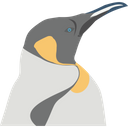 پیش‌نمایش فایل penguin-2483372 از پک پرنده و حیوان