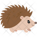 پیش‌نمایش فایل porcupine-2483369 از پک پرنده و حیوان
