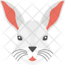پیش‌نمایش فایل rabbit-2483395 از پک پرنده و حیوان