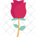 پیش‌نمایش فایل flower-2528441 از پک روز پدر