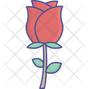 پیش‌نمایش فایل flower-2528320 از پک روز پدر