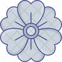 پیش‌نمایش فایل clover-2534988 از پک طبیعت، گیاهان و پارک