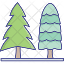 پیش‌نمایش فایل cypress-tree-2534963 از پک طبیعت، گیاهان و پارک