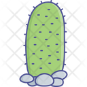 پیش‌نمایش فایل cypress-tree-2534967 از پک طبیعت، گیاهان و پارک