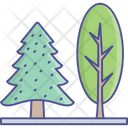 پیش‌نمایش فایل cypress-tree-2535055 از پک طبیعت، گیاهان و پارک