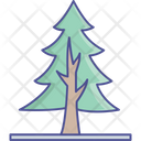 پیش‌نمایش فایل evergreen-tree-2535001 از پک طبیعت، گیاهان و پارک
