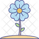 پیش‌نمایش فایل flower-2534971 از پک طبیعت، گیاهان و پارک