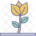 پیش‌نمایش فایل flower-2535004 از پک طبیعت، گیاهان و پارک