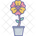 پیش‌نمایش فایل flowering-plant-2534974 از پک طبیعت، گیاهان و پارک