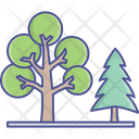 پیش‌نمایش فایل tree-2534965 از پک طبیعت، گیاهان و پارک