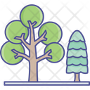 پیش‌نمایش فایل tree-2534969 از پک طبیعت، گیاهان و پارک