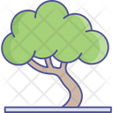 پیش‌نمایش فایل tree-2534970 از پک طبیعت، گیاهان و پارک
