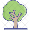 پیش‌نمایش فایل tree-2534978 از پک طبیعت، گیاهان و پارک