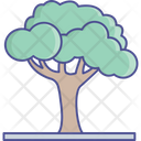 پیش‌نمایش فایل tree-2534980 از پک طبیعت، گیاهان و پارک