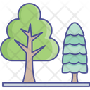 پیش‌نمایش فایل tree-2534985 از پک طبیعت، گیاهان و پارک