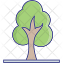 پیش‌نمایش فایل tree-2534990 از پک طبیعت، گیاهان و پارک