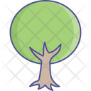پیش‌نمایش فایل tree-2534999 از پک طبیعت، گیاهان و پارک