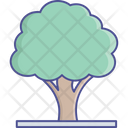 پیش‌نمایش فایل tree-2535003 از پک طبیعت، گیاهان و پارک