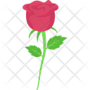 پیش‌نمایش فایل red-rose-2639203 از پک روز مادر