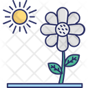 پیش‌نمایش فایل anemone-flower-2807421 از پک رابط کاربری