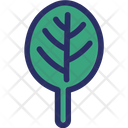 پیش‌نمایش فایل spinach-3118678 از پک غذا