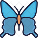 پیش‌نمایش فایل butterfly-3157474 از پک حیوان و پرنده